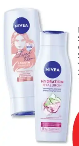 Budni Nivea Shampoo Angebot