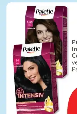 Budni Palette Intensive-Creme-Coloration Angebot