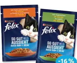 Budni Purina Felix Katzennahrung Angebot