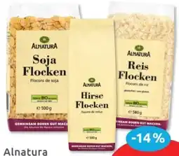 Budni Alnatura Hafer Flocken Angebot