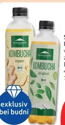 Budni Schneekoppe Kombucha Original Angebot