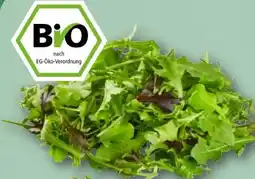 nahkauf Rewe Bio Crispy Salatmix Angebot