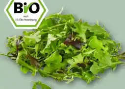 REWE Rewe Bio Crispy Salatmix Angebot
