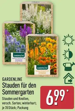 Aldi Nord GARDENLINE Stauden für den Sommergarten Angebot