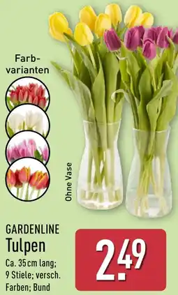 Aldi Nord GARDENLINE Tulpen Angebot