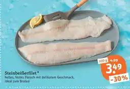 tegut Steinbeißerfilet Angebot