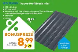 Globus Baumarkt Weckman trapez-profilblech mini Angebot