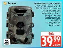Marktkauf Denver wildtierkamera wct 8016 Angebot