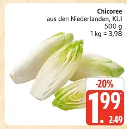 Marktkauf Chicoree Angebot