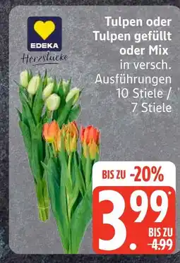 Edeka Edeka tulpen oder tulpen gefüllt oder mix Angebot