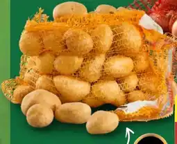 Aldi Nord Speisekartoffeln Angebot