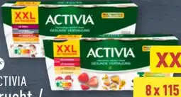 Aldi Nord Danone Activia Fruchtmix XXL Angebot