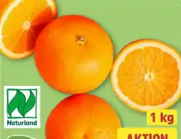 Aldi Nord Bio Smiley Orangen Angebot