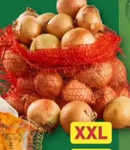 Aldi Nord Zwiebeln Angebot