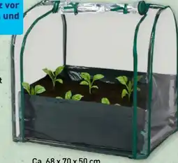 Aldi Nord Belavi Gewächshaus Angebot