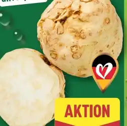 Aldi Nord Knollen-Sellerie Angebot