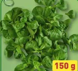 Aldi Nord Feldsalat Angebot