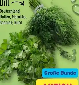 Aldi Nord Petersilie Glatt Angebot