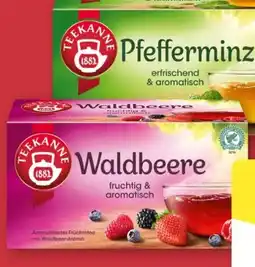 Aldi Nord Teekanne Früchtetee Angebot