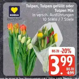Edeka Tulpen, Tulpen gefüllt oder Tulpen Mix Angebot