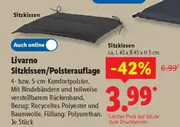 Lidl Livarno Sitzkissen/Polsterauflage Angebot