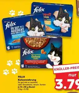 Kaufland felix Katzennahrung Angebot