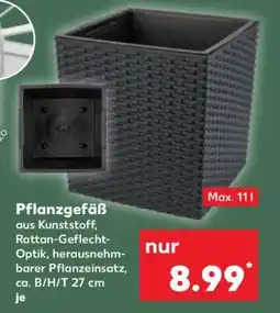 Kaufland Pflanzgefäß Angebot