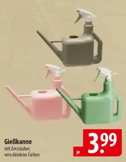 Famila Nord Ost Gieẞkanne Angebot