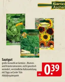 Famila Nord Ost Saatgut Angebot