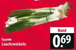 Famila Nord Ost Ägypten Lauchzwiebeln Angebot