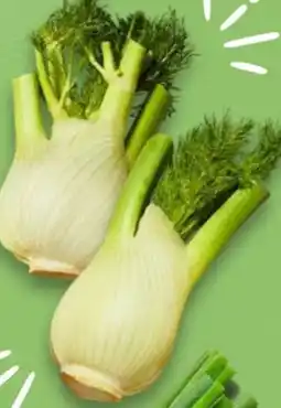 Kaufland Ital. Fenchel, lose Angebot