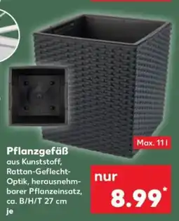 Kaufland Pflanzgefäß Angebot