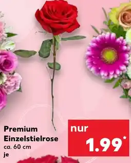Kaufland Premium Einzelstielrose Angebot