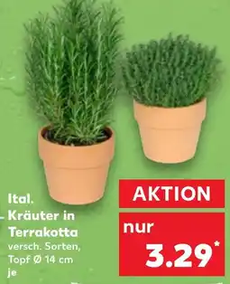 Kaufland Ital. Kräuter in Terrakotta Angebot