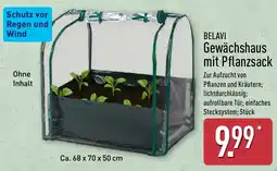 Aldi Nord BELAVI Gewächshaus mit Pflanzsack Angebot