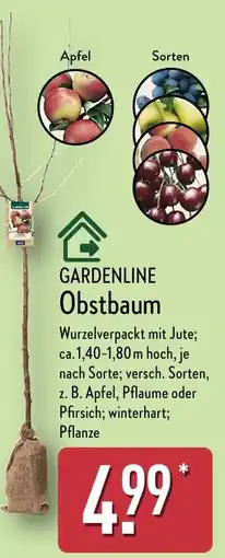 Aldi Nord GARDENLINE Obstbaum Angebot