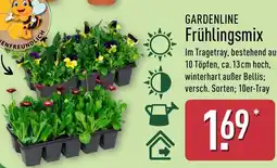 Aldi Nord GARDENLINE Frühlingsmix Angebot