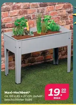 NETTO Maxi-Hochbeet Angebot