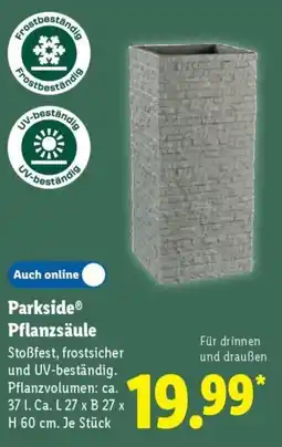 Lidl Parkside Pflanzsäule Angebot