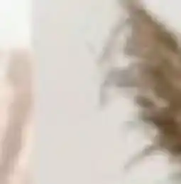 XXXLutz Dieter Knoll Garderoben-Set Angebot