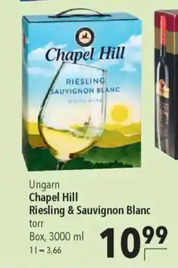 CITTI Markt Chapel Hill Riesling & Sauvignon Blanc Angebot