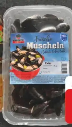 E-Center Miesmuscheln Extra Angebot