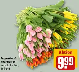 REWE Tulpenstrauß Harmonie Angebot