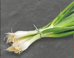 E-Center Lauchzwiebeln Angebot