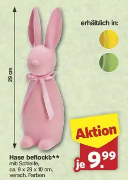 Famila Nord West Hase beflockt Angebot