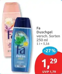 Budni Fa Duschgel Angebot