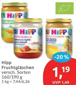 Budni Hipp Fruchtgläschen Angebot