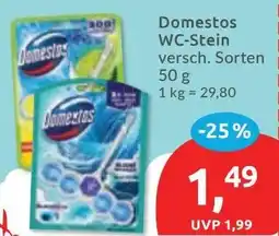 Budni Domestos WC-Stein Angebot
