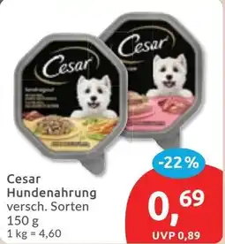 Budni Cesar Hundenahrung Angebot