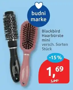 Budni Blackbird Haarbürste mini Angebot